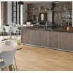 Виниловая плитка Quick-Step Дуб каньон натуральный BAGP 40039