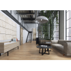 Ламинат Kronopol Platinium Paloma Oak Conyon D3273 Aqua