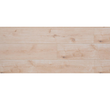 Ламинат belfloor BF80-001-UN