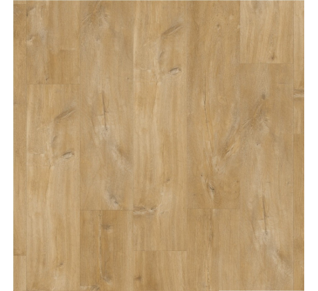 Виниловая плитка Quick-Step Дуб каньон натуральный BAGP 40039